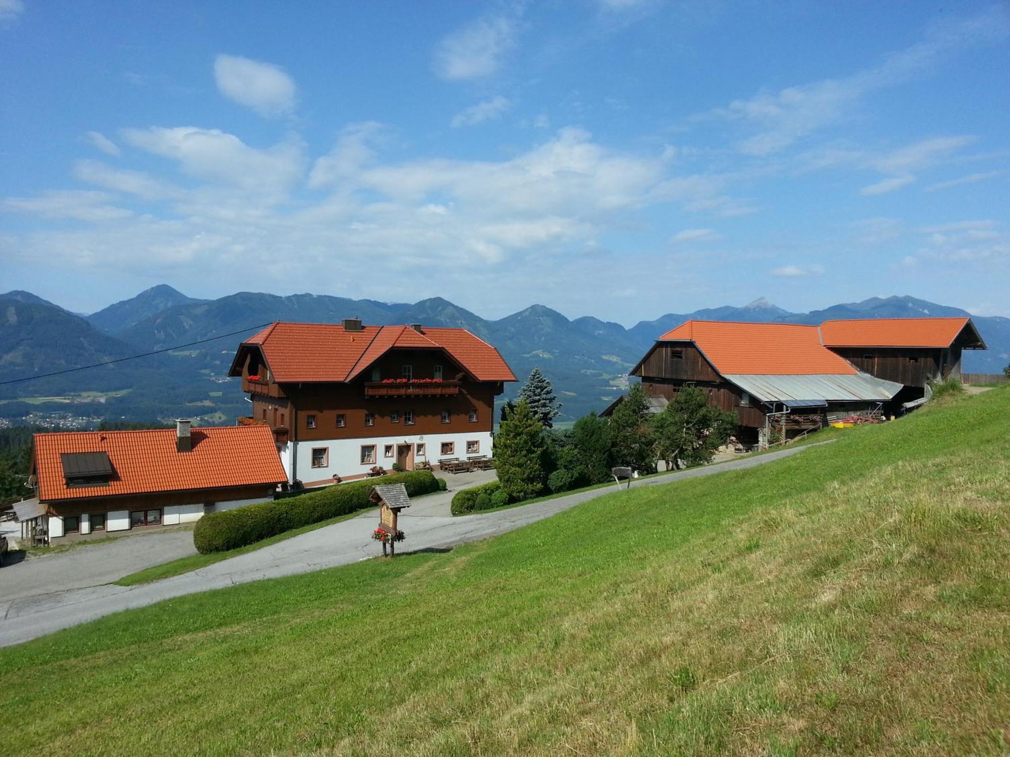 Pension Bauernhof Baumgartner Stanahof Fresach Extérieur photo